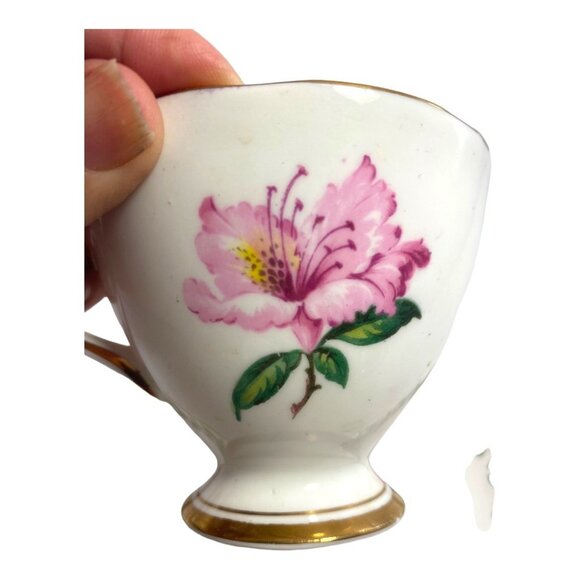 Gladstone Bone China Tea Cup & Saucer Set Laurel Time Pink Floral Design - Picture 2 of 8